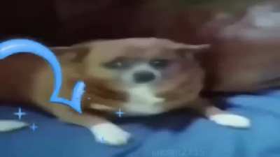 hlep