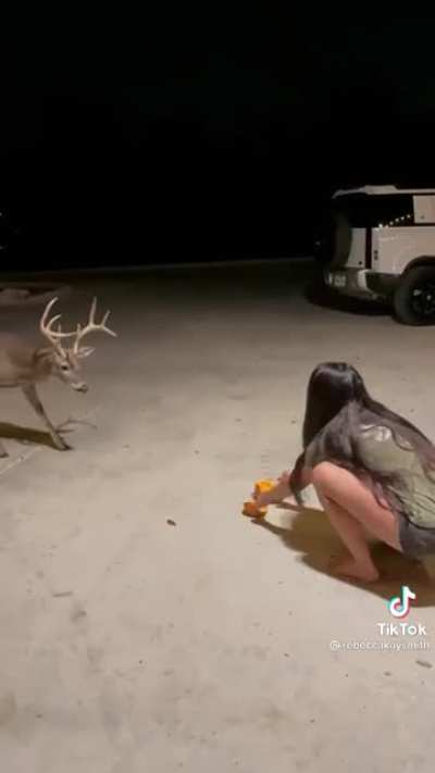 Feeding a buck some pumpkin