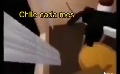 Xd
