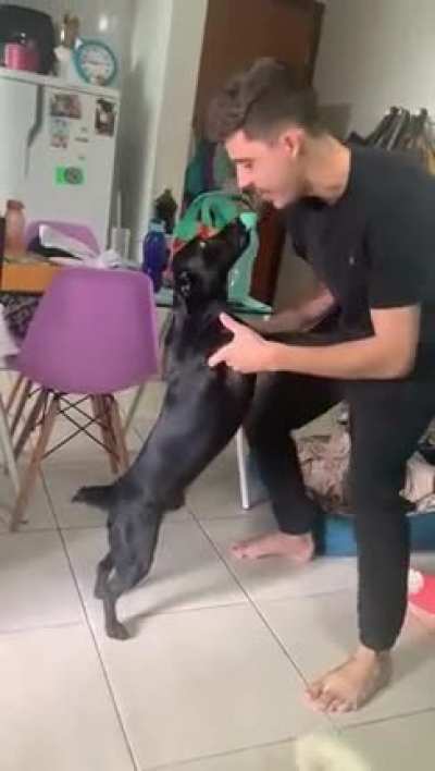 Paco doesn&rsquo;t like when someone interrupts his dancing.