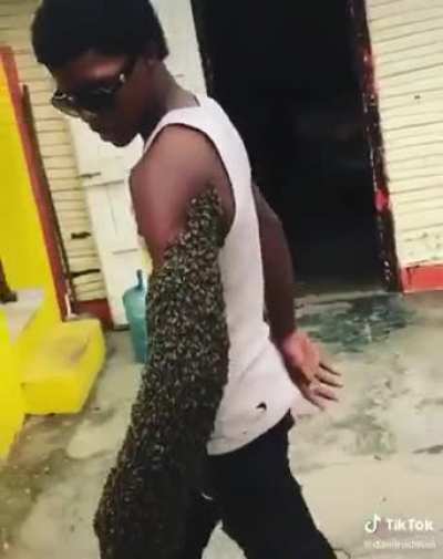 Guy transports a bees colony by carrying the queen is his fist; the rest of the bees crowd around where their queen is.