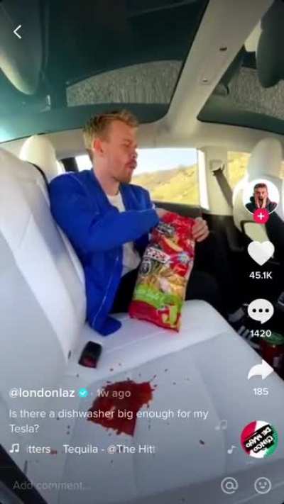 &ldquo;Is there a dishwasher big enough for my Tesla&rdquo;