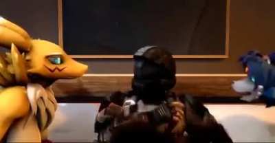 Halo_irl