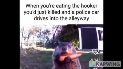 S N A C