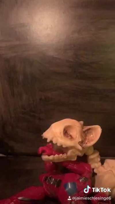 The proper way to use tik tok