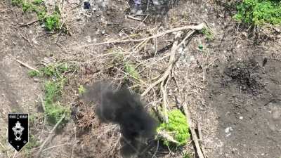 UA 92nd Assault Brigade's 1st Assault Battalion UAV team targeted Russian infantry with munition drops, landing numerous accurate strikes. Published July 30, 2024