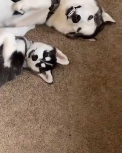 How similar they are...