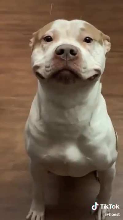 Smiles