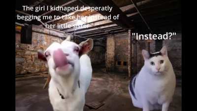 Instead?