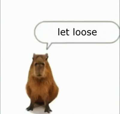capybara sings the best song ever