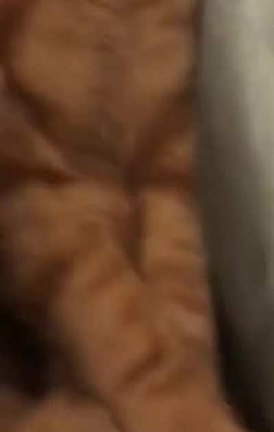 blursed_smile