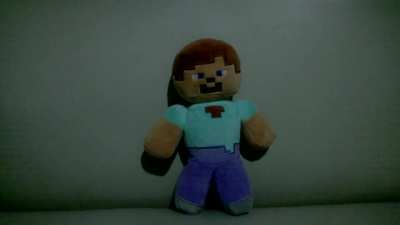 my friend has a steve plushie and..