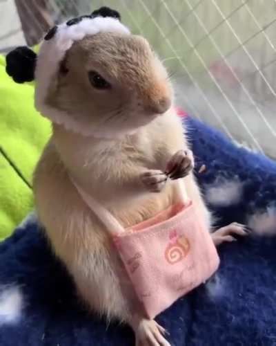Cutieee😍