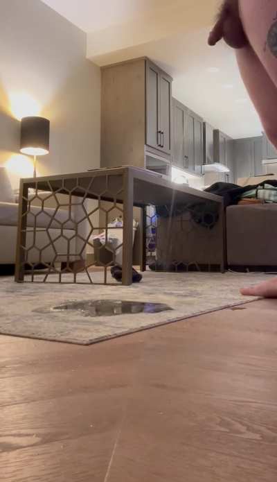 Carpets ruined eh?