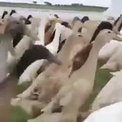 They won&rsquo;t notice if I try to blend in