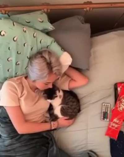 Ленивый день с котом