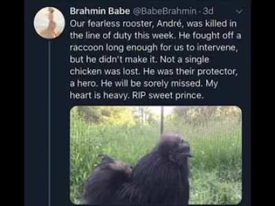 True hero rule :(