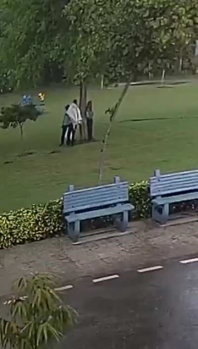 Under a tree in the rain