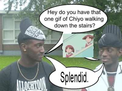 Splendid