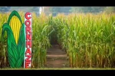 Come get some corn