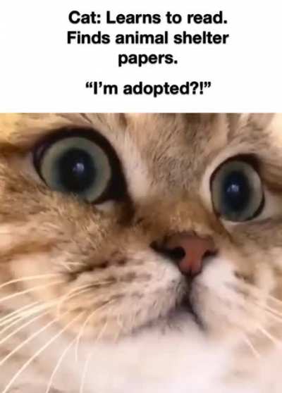 Yes, it&rsquo;s true.