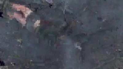 Ukrainian drones destroy Russian invaders [1-3.Sept 2024] NSFW
