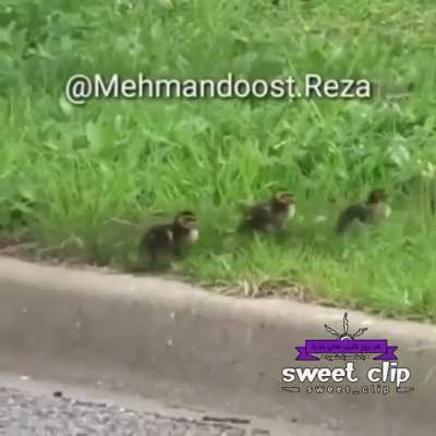 خدا بهش صبر بده 😂. . . . . . . . . . وت آپ کنید بازم از اینا میزارم ⬆️&hearts;⬆️