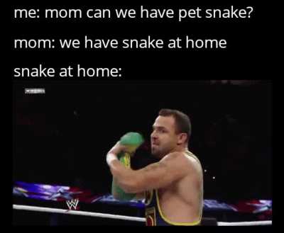 Snek at home:
