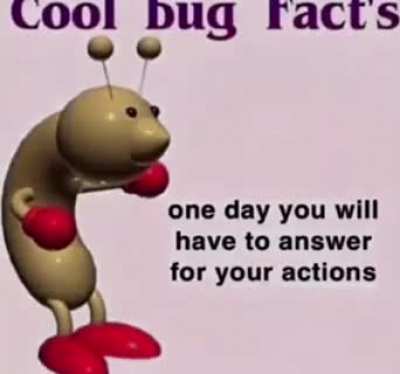 Cool bug fact’s (not mine)