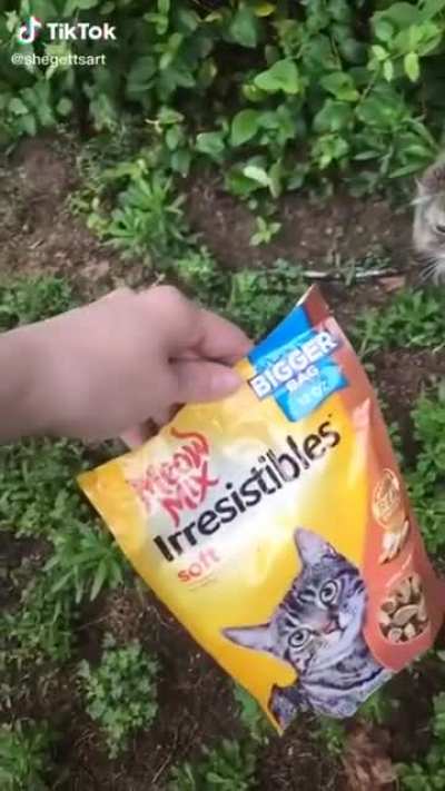 its meoooow-mix!