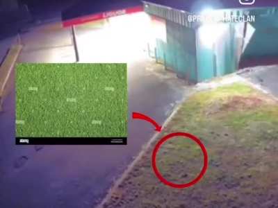 grass spotted