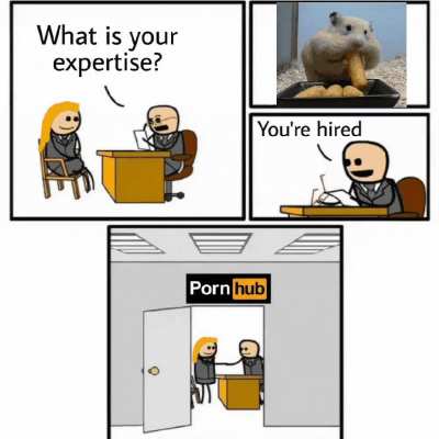 Hamsterhub