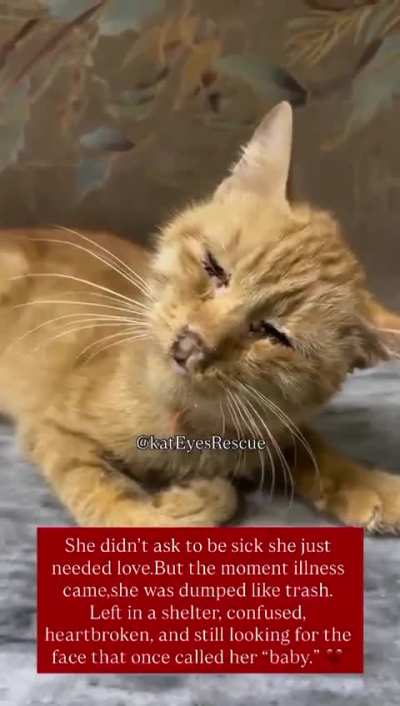 She didn&rsquo;t ask to be sick she just needed love. But the moment illness came, she was dumped like trash. She needs immediate medical care, treatment, and support to get a second chance at life.