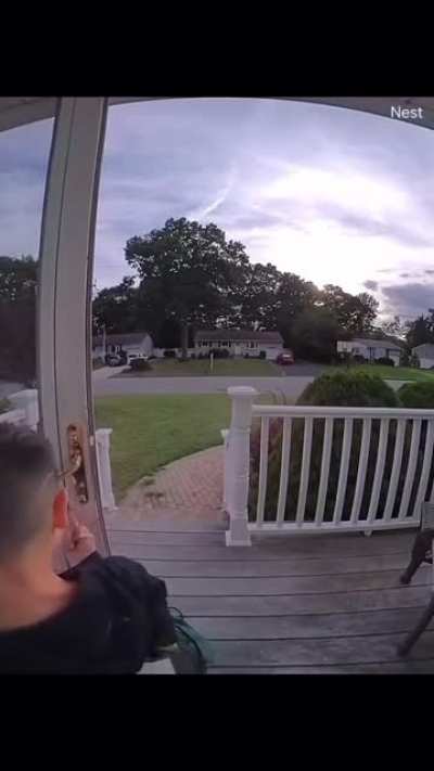 Dumb door