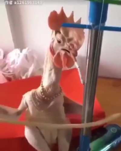 He&rsquo;s so talented!