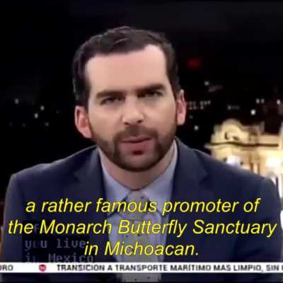 What could happen if you defend butterflies in M&eacute;xico