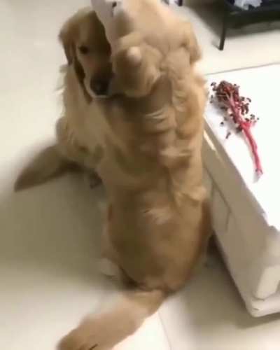 Honey I&rsquo;m home!