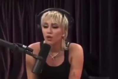 joe rogan
