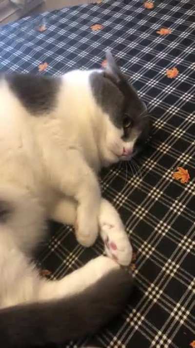 I just want to use my table. Please?