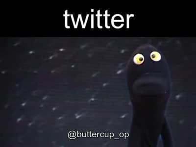 twitter be like: