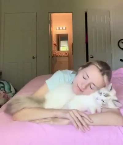 And how do people ever live without kitties