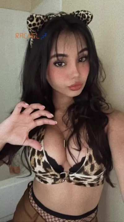 How about a cat 