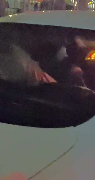 Still can’t believe it’s been a year now since I Cucked my BF for the first time ever in the back of this guys car I met at the club and now we both fantasize about it happening again soon!