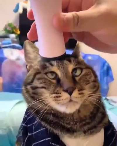 That laugh makes it even better!!