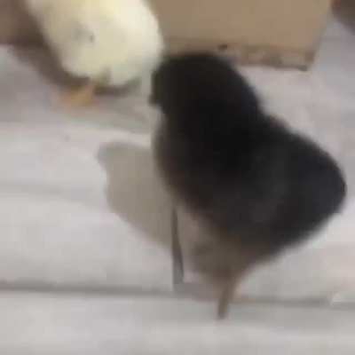 Sup Bro