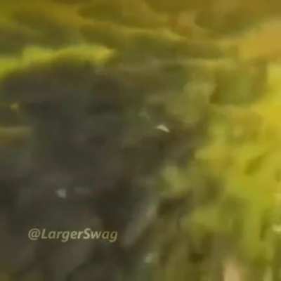 😐