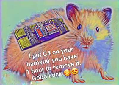 Good luck 🥰 😍