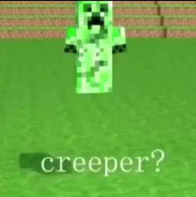 Hide