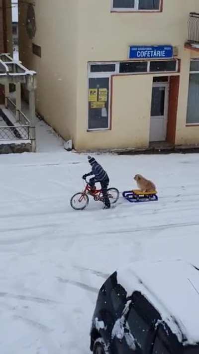 A boy and his pup having some winter fun