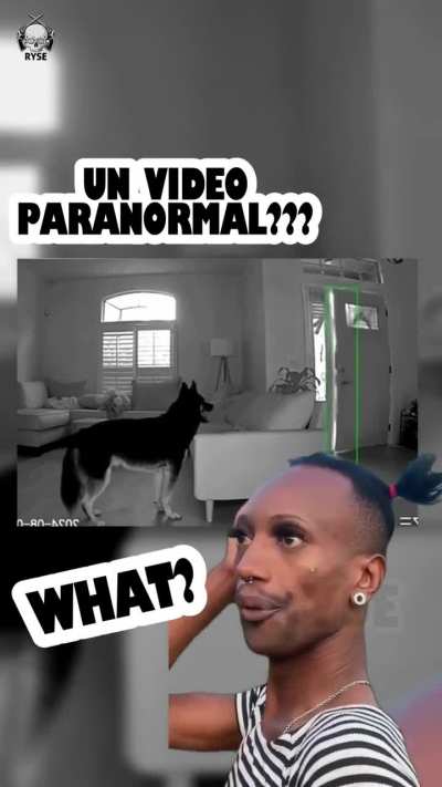 Jaja